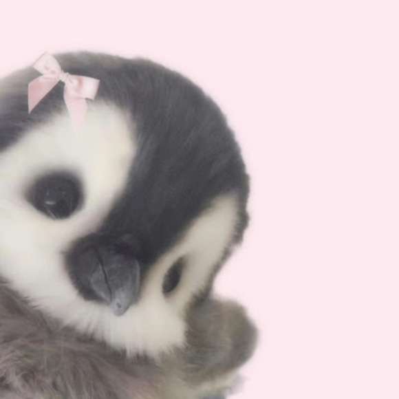 Meet your Posher, Cynthia - Picture 1 of 1